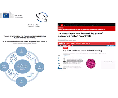 Alternative testing for preclinical drug screening.webp