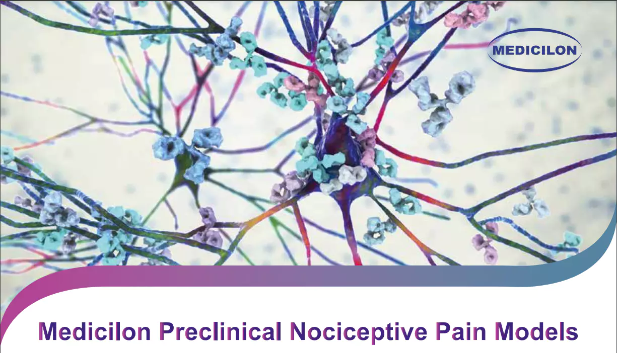 Nociceptive Pain Models