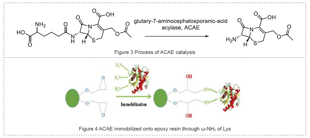 Strategies of STAT3 pathway inhibition.webp