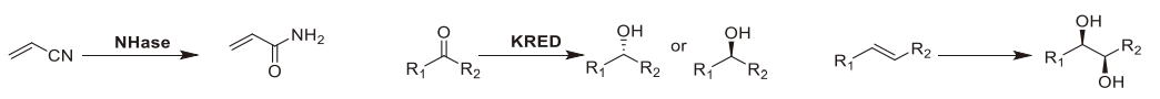 Application of enzymes and Enzyme engineering.webp