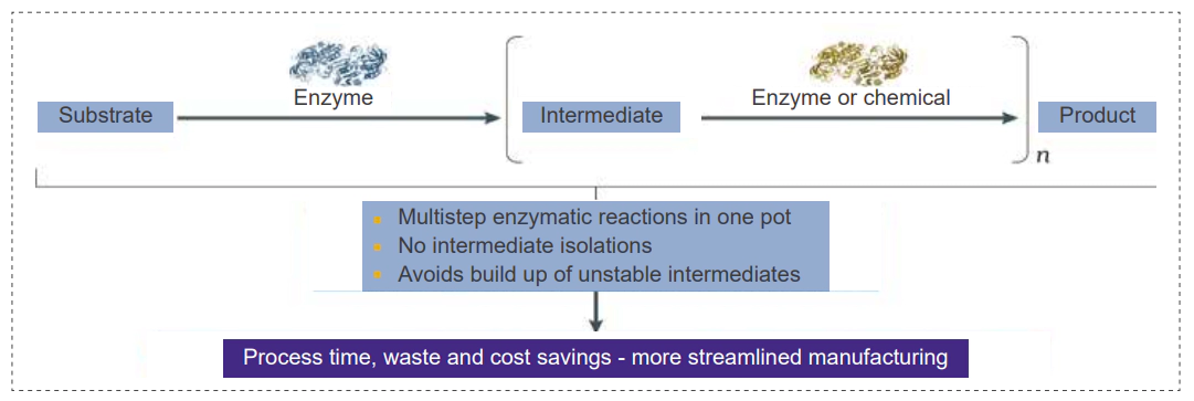 Application of enzymes and Enzyme engineering.webp