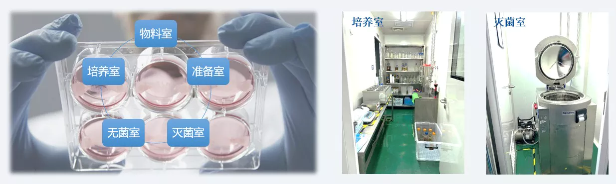 Microbiological Testing-Culture room and sterilization room.webp