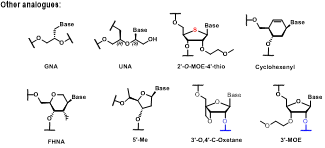  Sugar Modification-3.webp