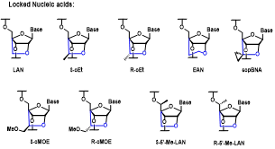  Sugar Modification-2.webp