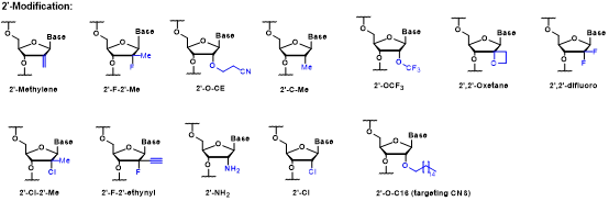  Sugar Modification-1.webp