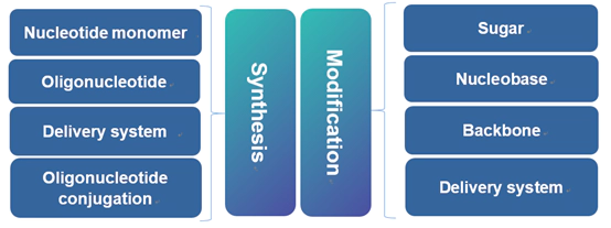 omprehensive nucleic acid drug synthesis and modification capability.webp