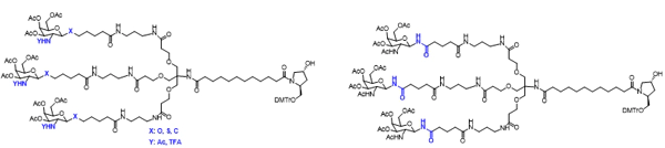 Synthesis of 50<sup>+</sup> N-acetyl galactosamine (GalNAc).webp