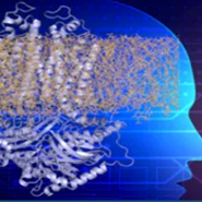 AI Protein Structure Prediction