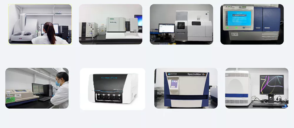 Pharmacodynamic Experimental Analysis Equipment.webp