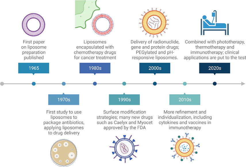 Liposomes development.webp