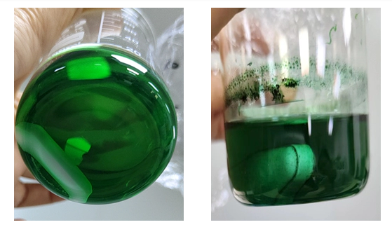 Liposomes containing drugs (left) and controls (right).webp