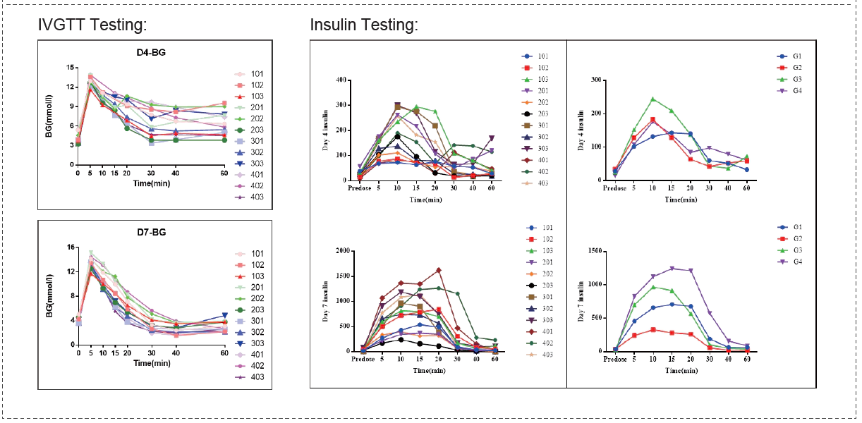 IVGTT and Insulin Testing in Cynomolgus Monkeys.webp