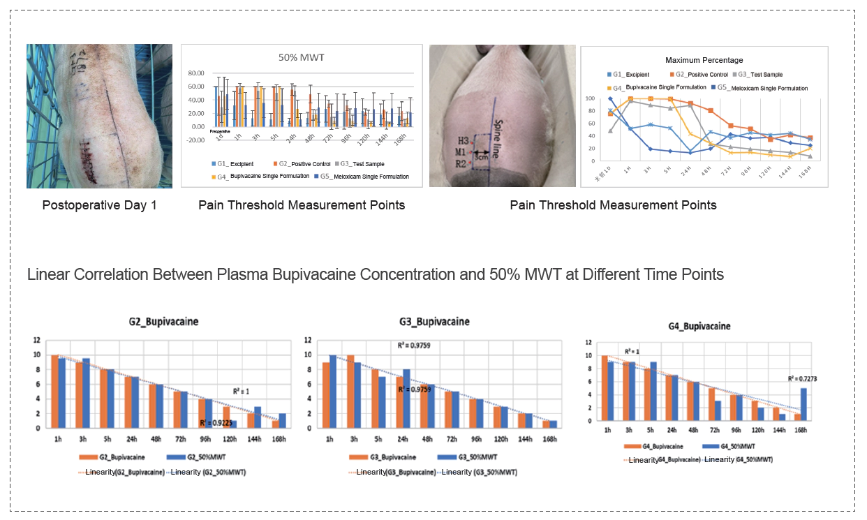 Analgesic Test of Compound Preparation on Postoperative Acute Pain Model in Bama Miniature Pigs.webp