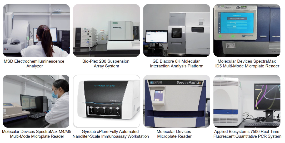 Pharmacodynamic Experimental Analysis Equipment.webp