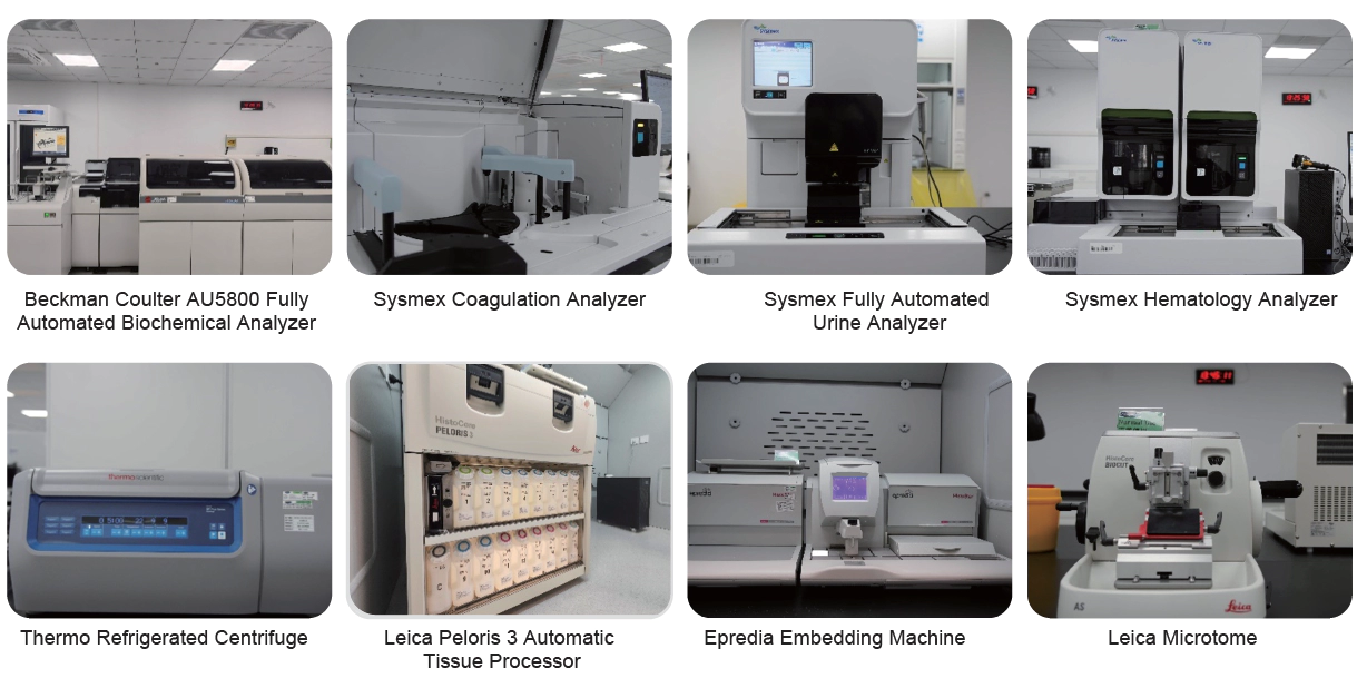 Pharmacodynamic Experimental Pathological Research Equipment.webp