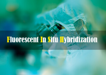 Fluorescent In Situ Hybridization