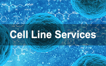 cell line services