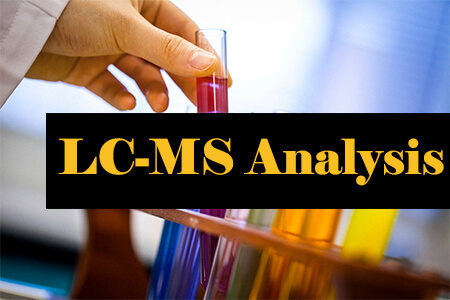 LC-MS Analysis Service