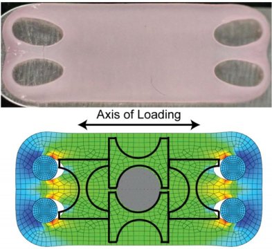 Artificial Cartilage Under Tension As Strong As Natural Material