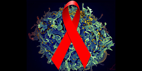 Creating a Functional Cure for HIV