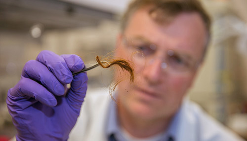 Unique Hair Proteins are Better than DNA in Human Identification