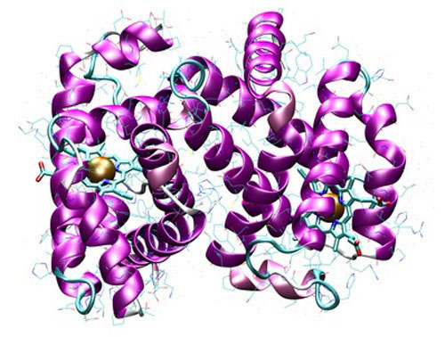 Manufacturing Technique Can Make Proteins Less Effective