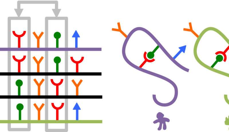 Unknown Protein Structures Predicted