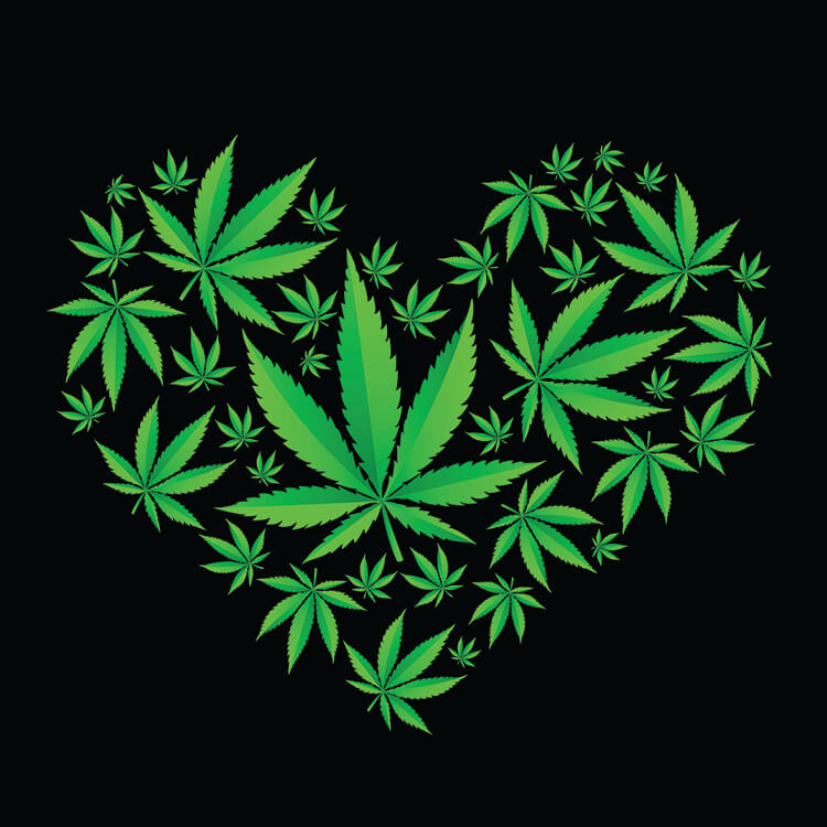 Marijuana Use Linked to High Risk of Heart Failure