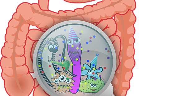 Gut Bacteria Offers Possible New Treatment for Autism