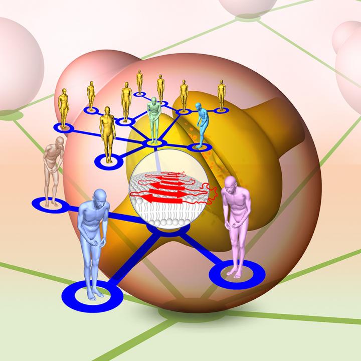 Parkinson's Protein Has Widespread and Conserved Toxicity Influence