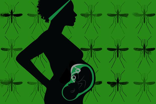 Malaria During Pregnancy Can Alter Infant Immunity