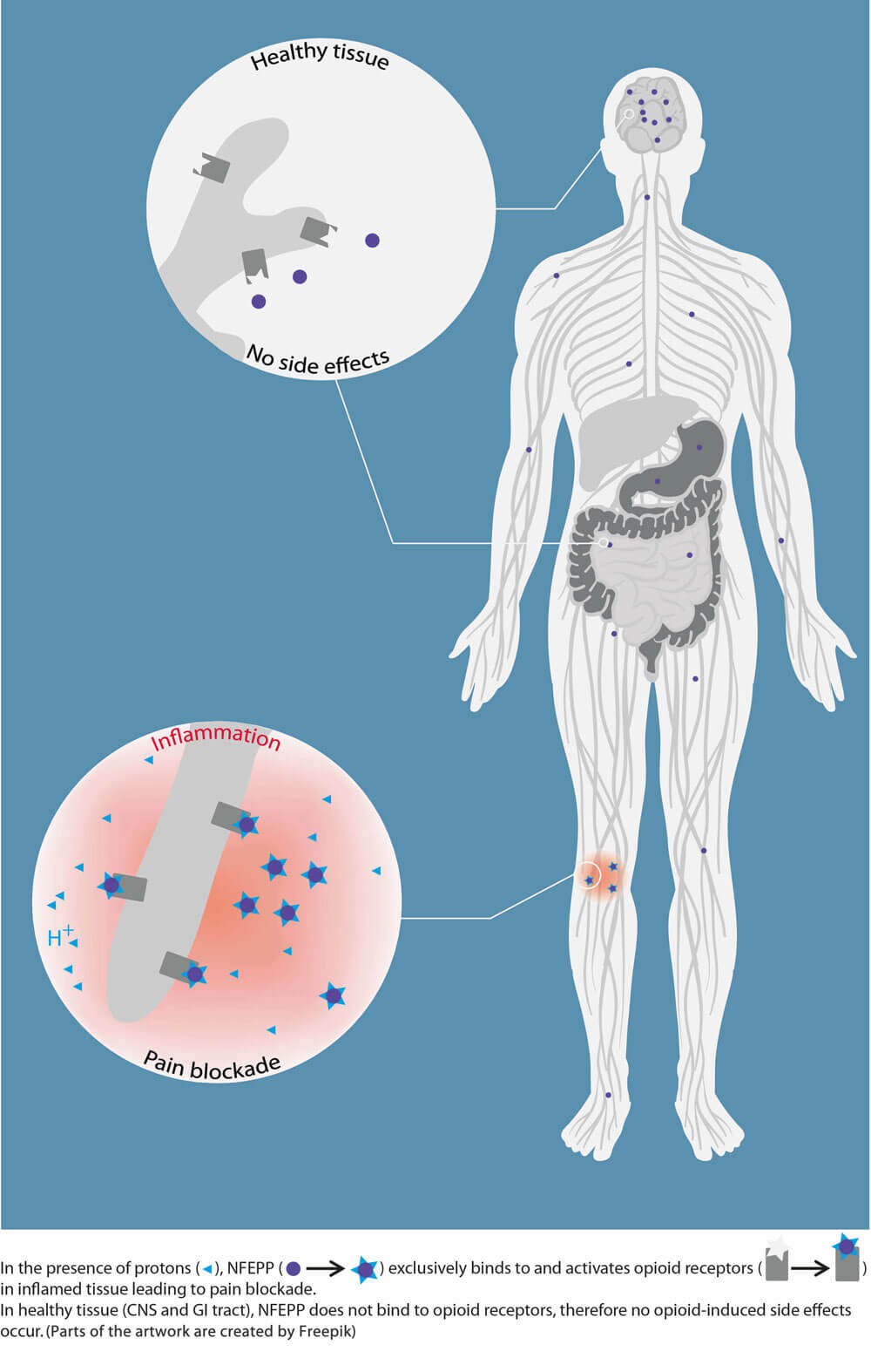 Painkillers Without Dangerous Side Effects