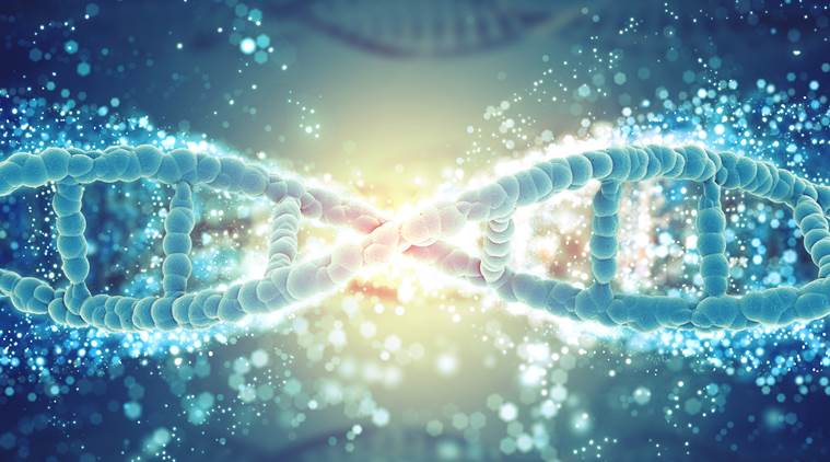 26 New Genes Linked to Intellectual Disability Identified