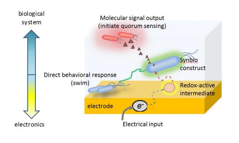 Electrogenetic Device Designed for Activating Gene Expression