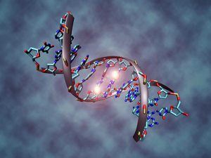 DNA Methylation Can Help Predict Cancer Prognosis and Survival