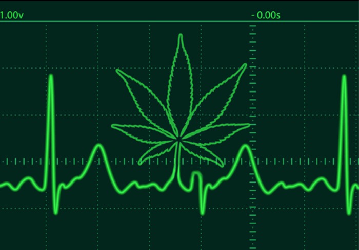 Marijuana Use Triples Risk for Hypertensive Death