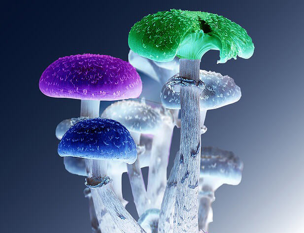 Magic Mushrooms Break on Through to Biosynthetic Reality