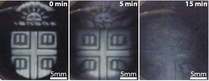 Novel 3D Printing Technique Opens Door to Wide Range of Research and Clinical Applications