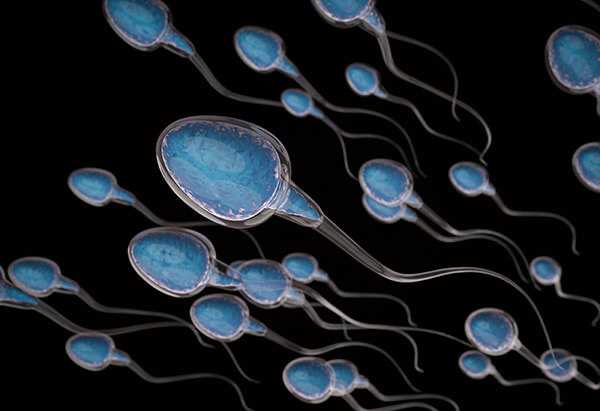 Sperm Epigenetics May Be Skewed by Exposure to Plastics of Father