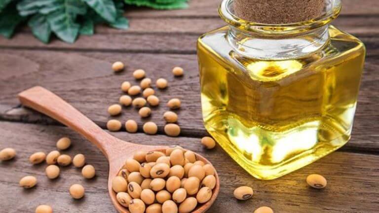 GMO-Sourced Soybean Oil Causes Less Obesity than Conventional Oil