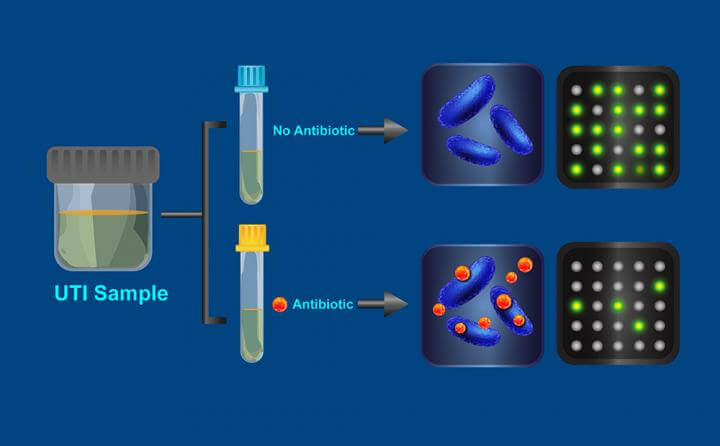 Rapid Antibiotic Resistance Test Turns on the LAMP