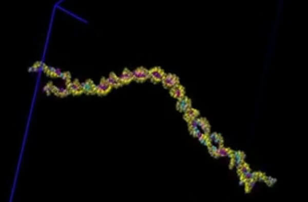 Cancer Chemotherapy Resistance Stopped By Chromatin Regulation