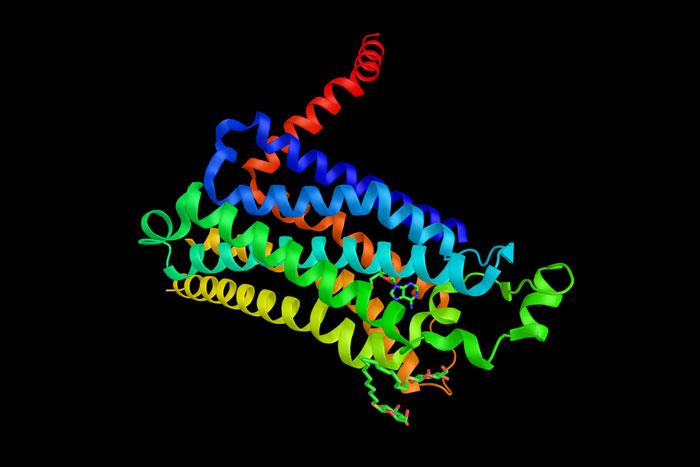 Advanced Image of A2aAR Protein Could Lead to Better Drug Design Methods