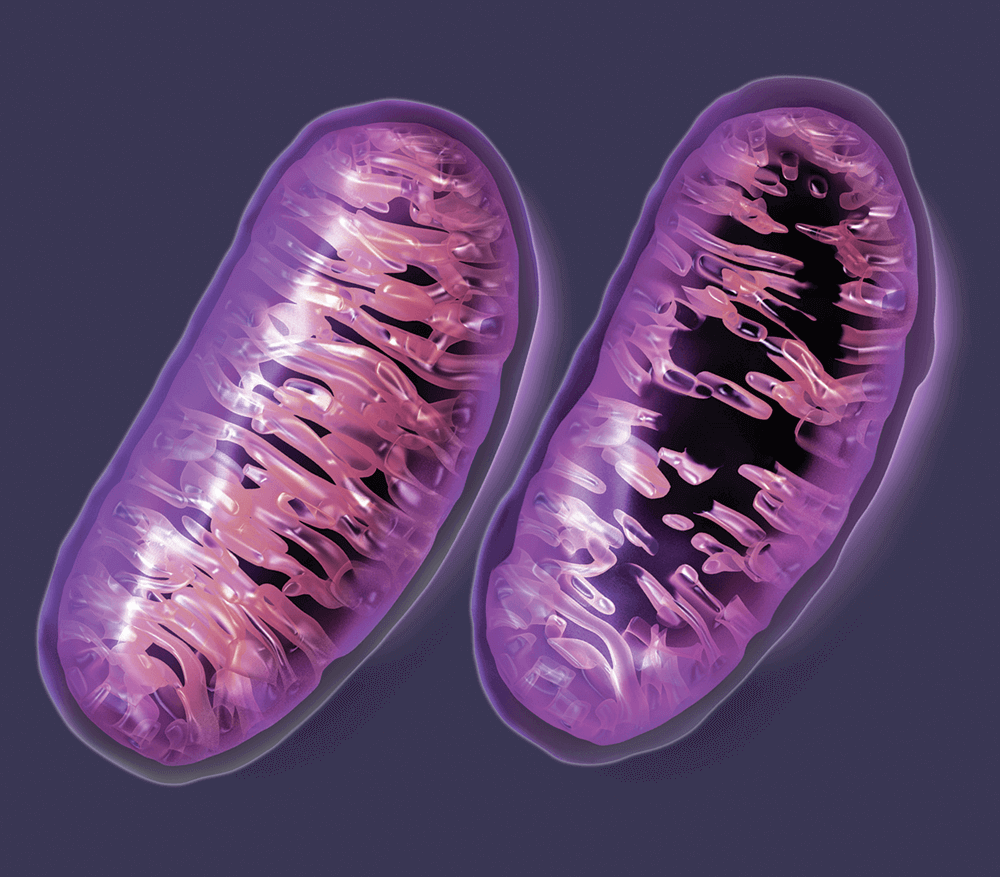 Microbial Metabolite Could Be Potential Weapon against Skin Cancer