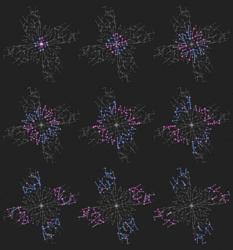 Cellular Network Structure