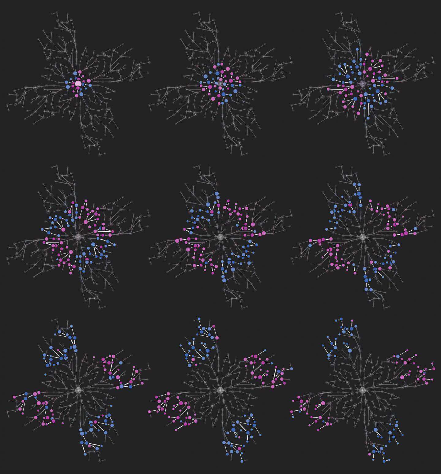 Novel Algorithm Sheds Light on Cellular Network Structure