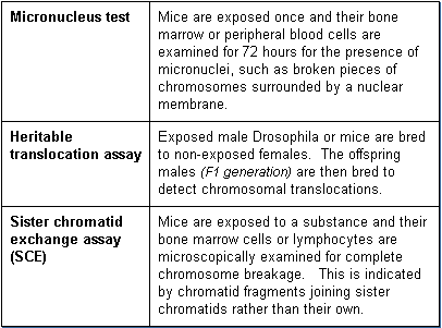 Additional in vivo chromosomal assays