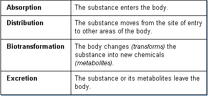 toxicokinetics process