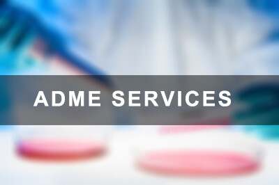 In Vitro ADME Services