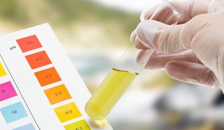 Metabolic Stability of Drugs